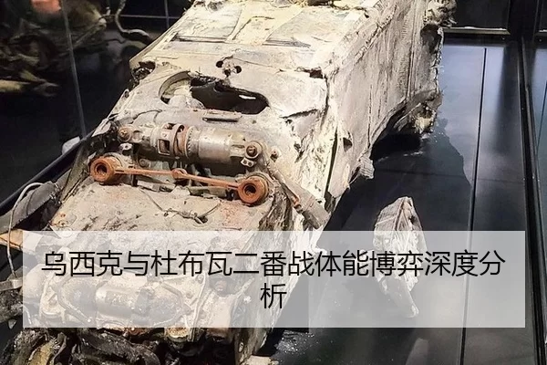 乌西克与杜布瓦二番战体能博弈深度分析