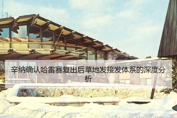 xin-na-que-ren-ha-lei-sai-fu-chu-hou-cao-di-fa-jie-fa-ti-xi-de-shen-du-fen-xi-2-485.jpg